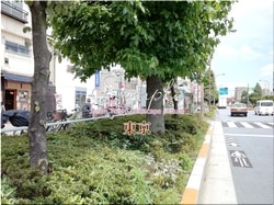 Tokio Toshima-ciudad 20 ■ 2021 últimas salas de Tokio 23 sin procesar 1,000P